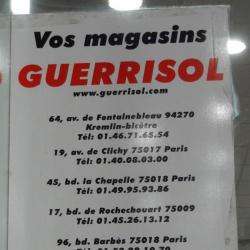 Guerrisol