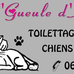 Gueule D'amour