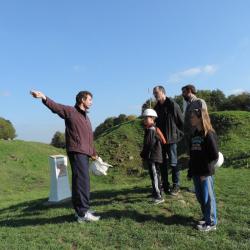 Mirabelle Tours