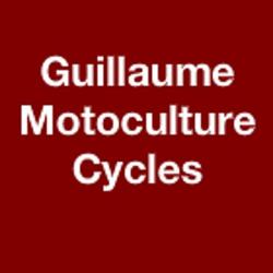 Guillaume Motoculture