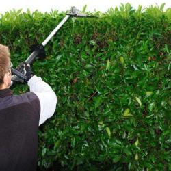 Guinet Jardin