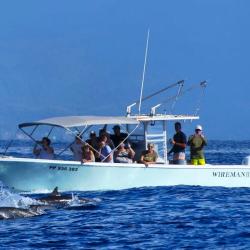 Gwada Pelagic