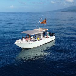 Gwada Pelagic