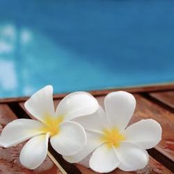 H2o Piscines Et Spas Aquatechnology