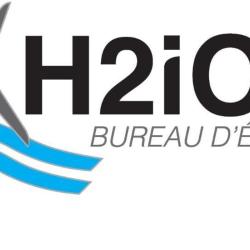 H2ion