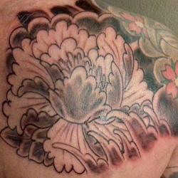 Haamiah Tattoo _ Studio De Tatouage