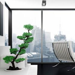 Hainaux Bureaux Collect Amenagement