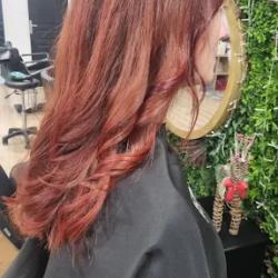 Hair Beauty