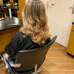Hair Land