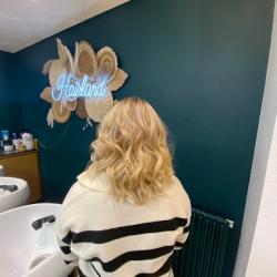 Hair Land