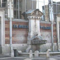 Halle St Claire