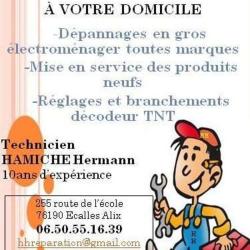 Hamiche Hermann