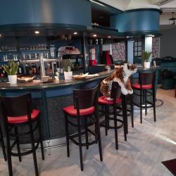 Happy-bar