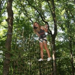 Happy Forest