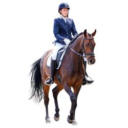 Haras D'begor