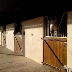 Haras D'enjoy
