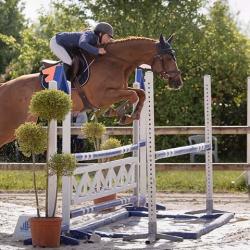 Haras D Orcal