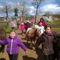 Harasdekita  Ferme Equestre Cheval/poney