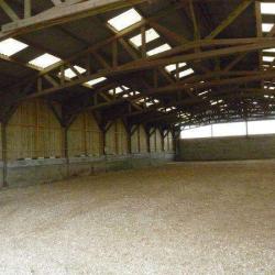 Haras De La Buissonnière