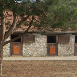 Haras De La Fontaine Cypie Rre