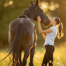 Haras De Landette