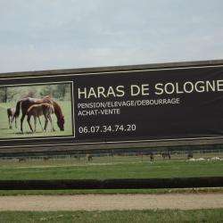 Haras De Sologne
