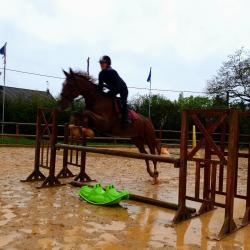 Haras De Villechetive