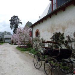 Haras National De Lamballe