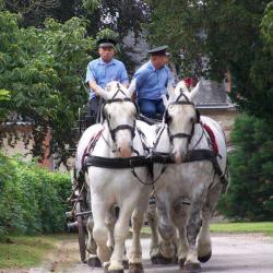 Haras National De Saint Lô
