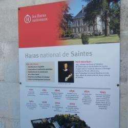 Haras National De Saintes