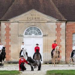 Haras National Du Pin