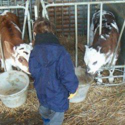 Harel Fabienne Et Joseph