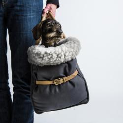 Hariet & Rosie | Petshop à Nantes