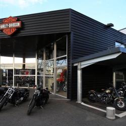 Harley Davidson