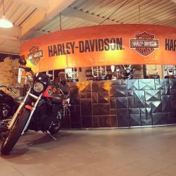 Harley-davidson Twins Family