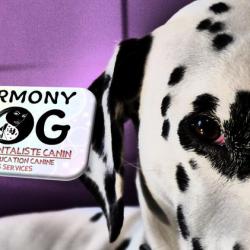 Harmony Dog Comportementaliste Canin