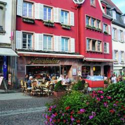 Haushalter