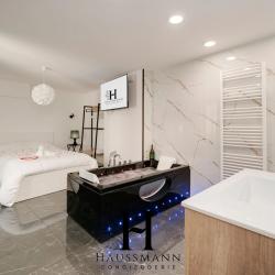 Haussmann Conciergerie Nancy : Location Airbnb/booking