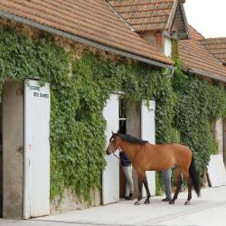Hdlc Haras De La Clairiere