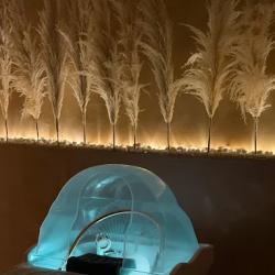 Head Spa - Tiphaine And Co