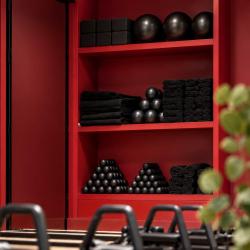 Heaven Studio