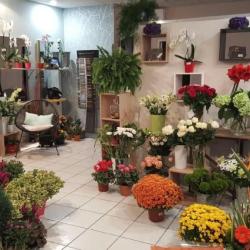 Hélios Fleuriste Et Pompes Funèbres