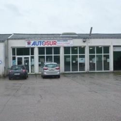 Autosur
