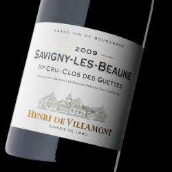 Henri De Villamont
