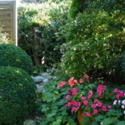 Henry Services Jardins