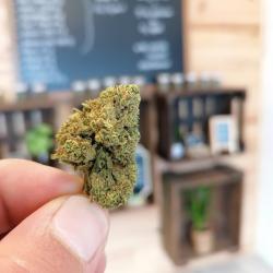 Herbio'd  Cbd Chambéry