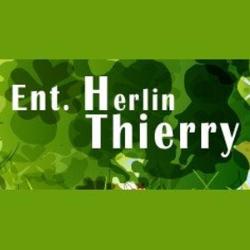 Herlin Thierry