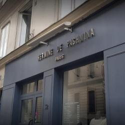 Hermine De Pashmina
