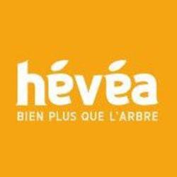 Hévéa élagage
