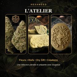 Hexaweed